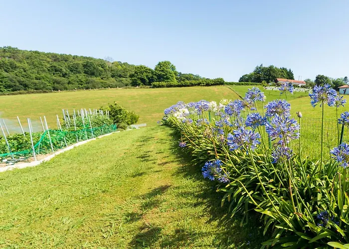 Appartement Gure Xokoa